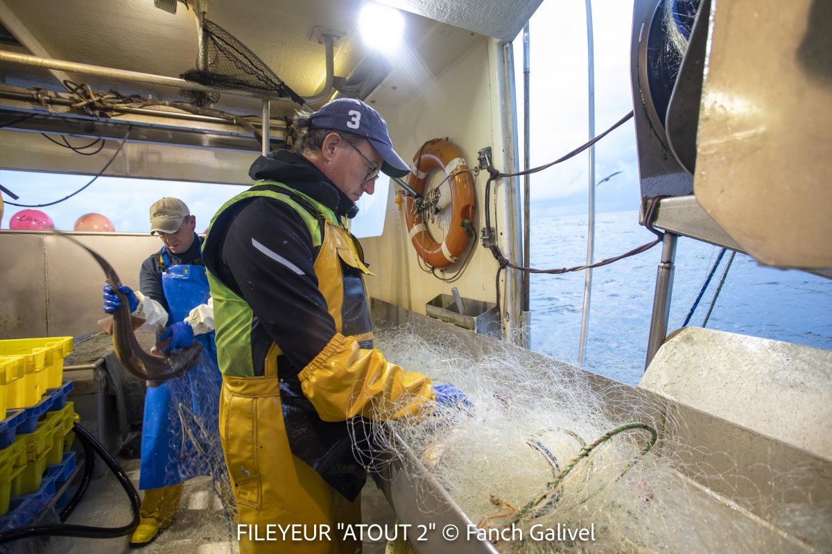 Pêche en mer à bord du fileyeur "Atout 2" au sud de l'ile de Groix