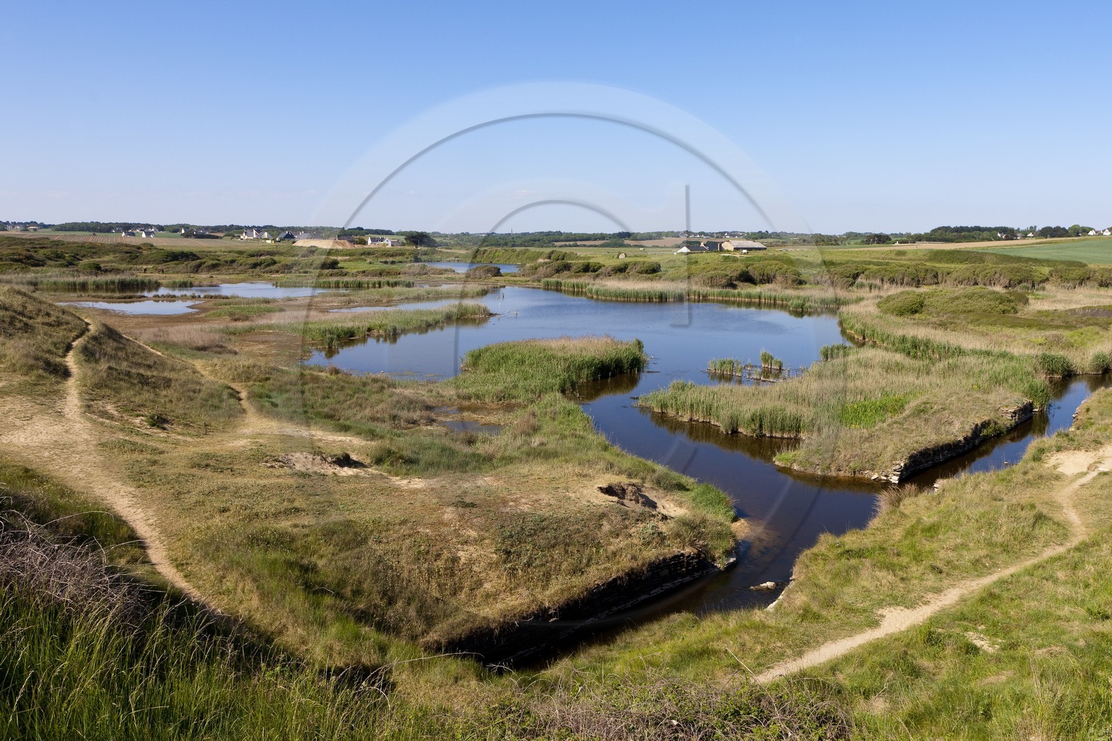 Pond of Loch _Guidel