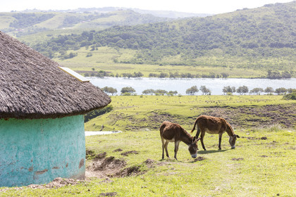 Village Xhosa de Bulungula en Afrique du Sud