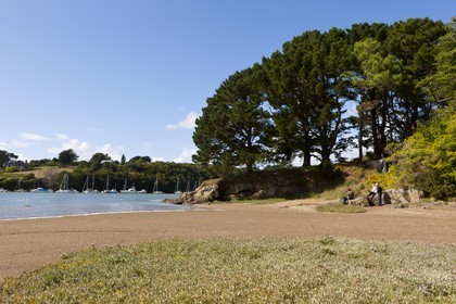 Sentier pedestre en bordure de la Laita_Guidel