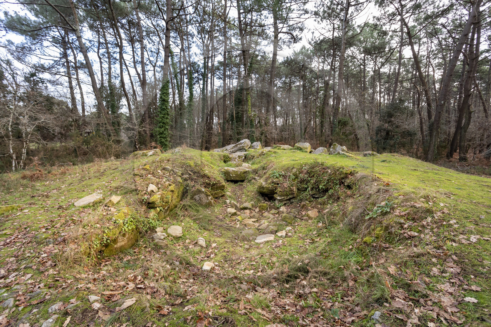 The Mané-Ven-Guen or Toulvern dolmen located in Baden