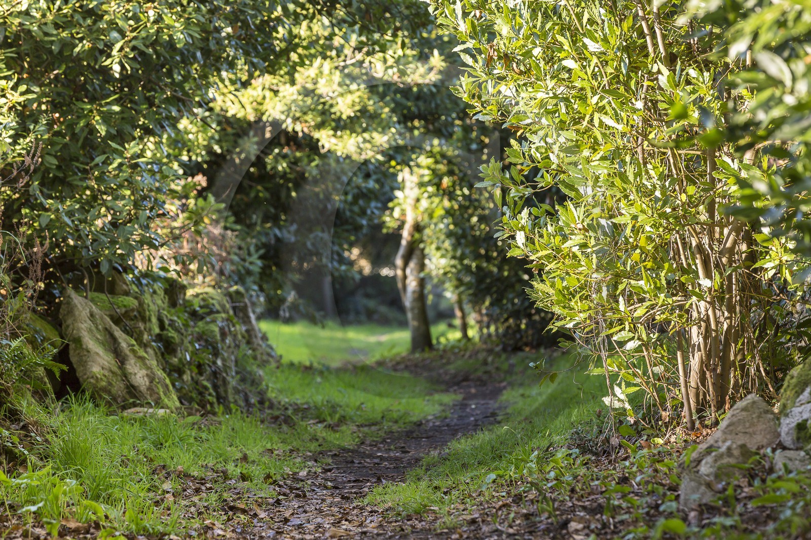 Sentier de la Vigie _ La Trinite sur Mer.