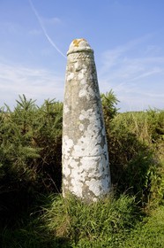 Stèle de Prostlon _ Locoal-Mendon