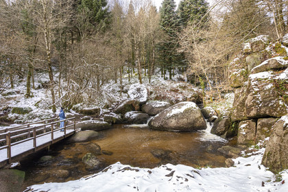 The forest of Huelgoat
