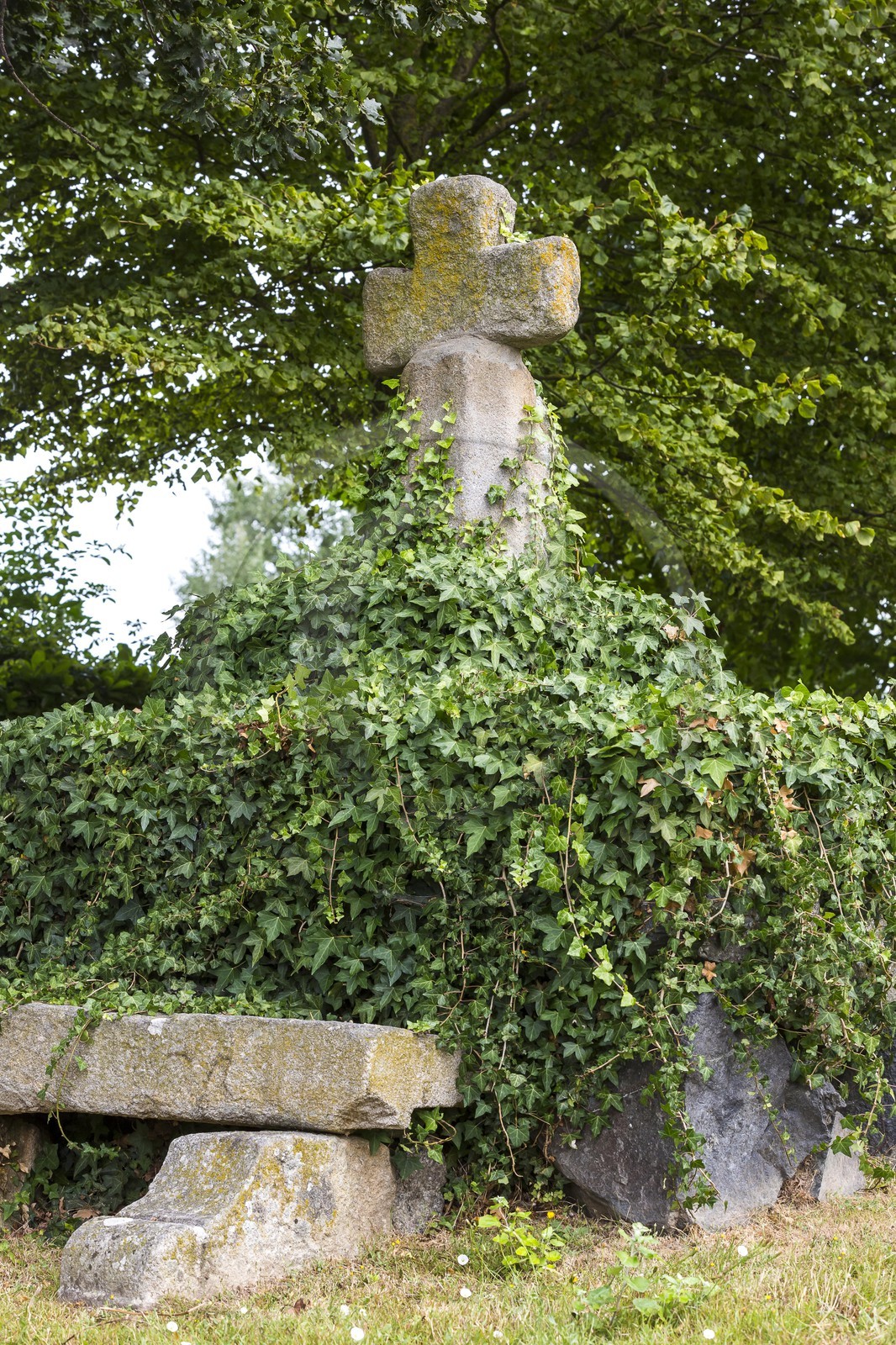 Church of Our Lady of Nazareth. Plancoët
