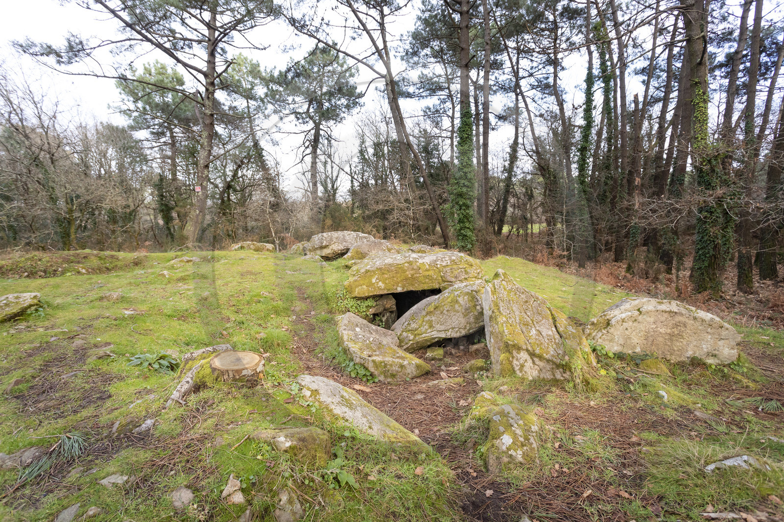 Le dolmen de Mané-Ven-Guen ou Toulvern situé à Baden
