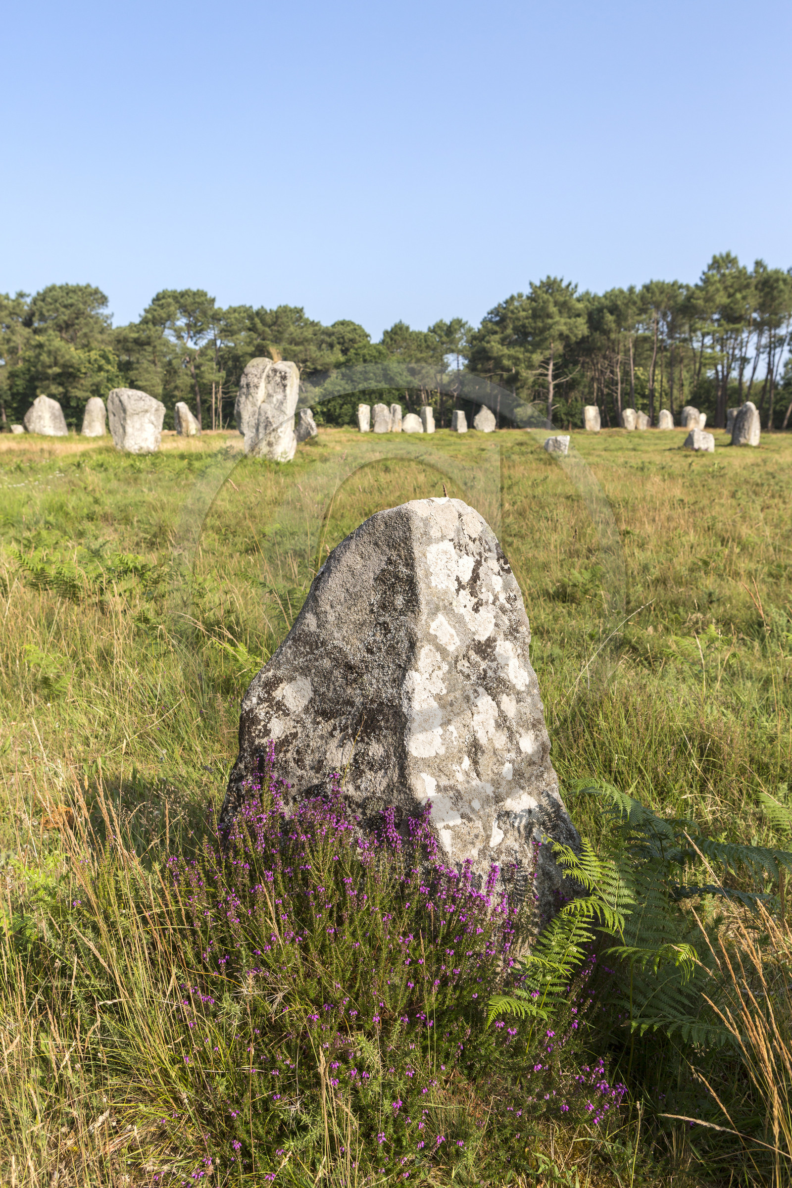 Alignments of Kerlescan in Carnac