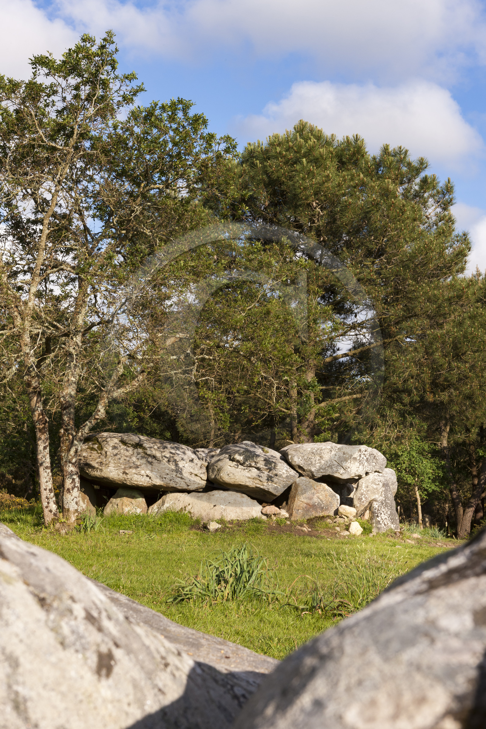 The dolmens of Mané-Bras in Erdeven