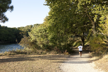pond of the Ter in Ploemeur. Morbihan France