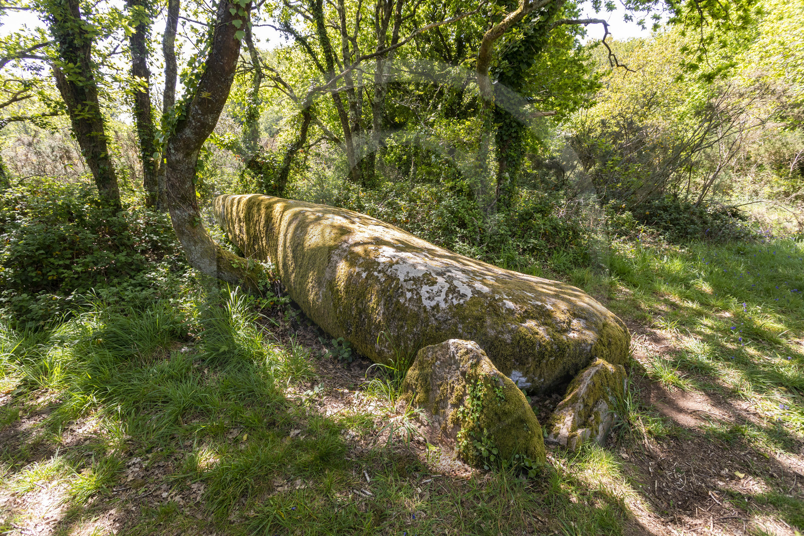 Dolmen de Men Hiaul (Kerblay) à Sarzeau
