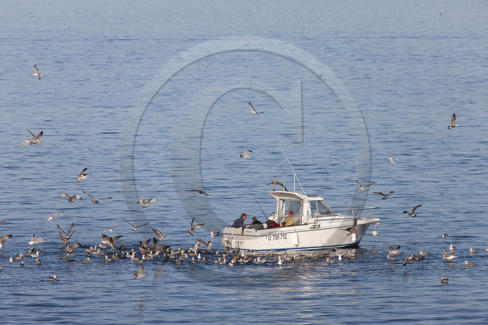 Bateau de plaisance. Ile de Groix.