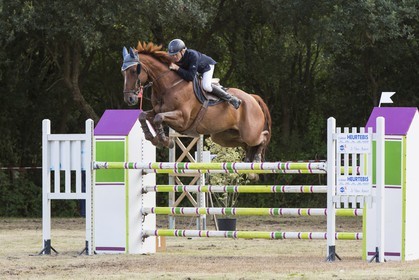 concours equestre _ la Trinite sur Mer ( 56 )