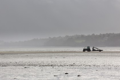 ostréiculture en baie de st Jacut