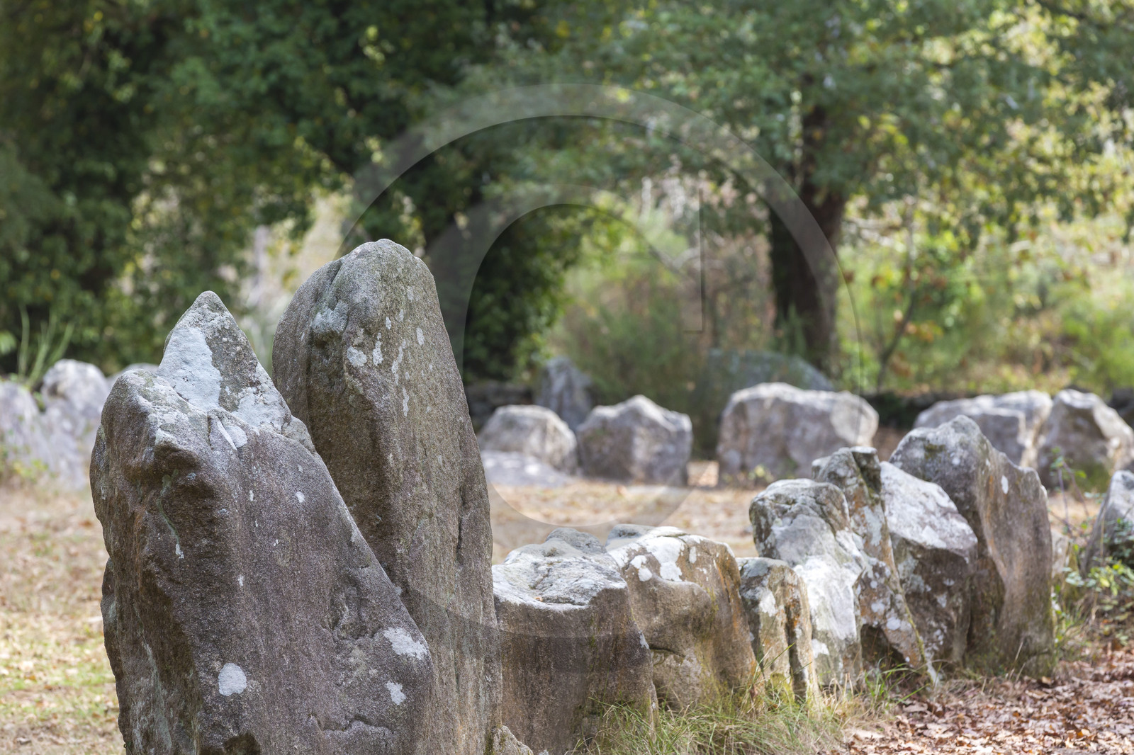 Le quadrilatère du Manio Le quadrilatère du Manio