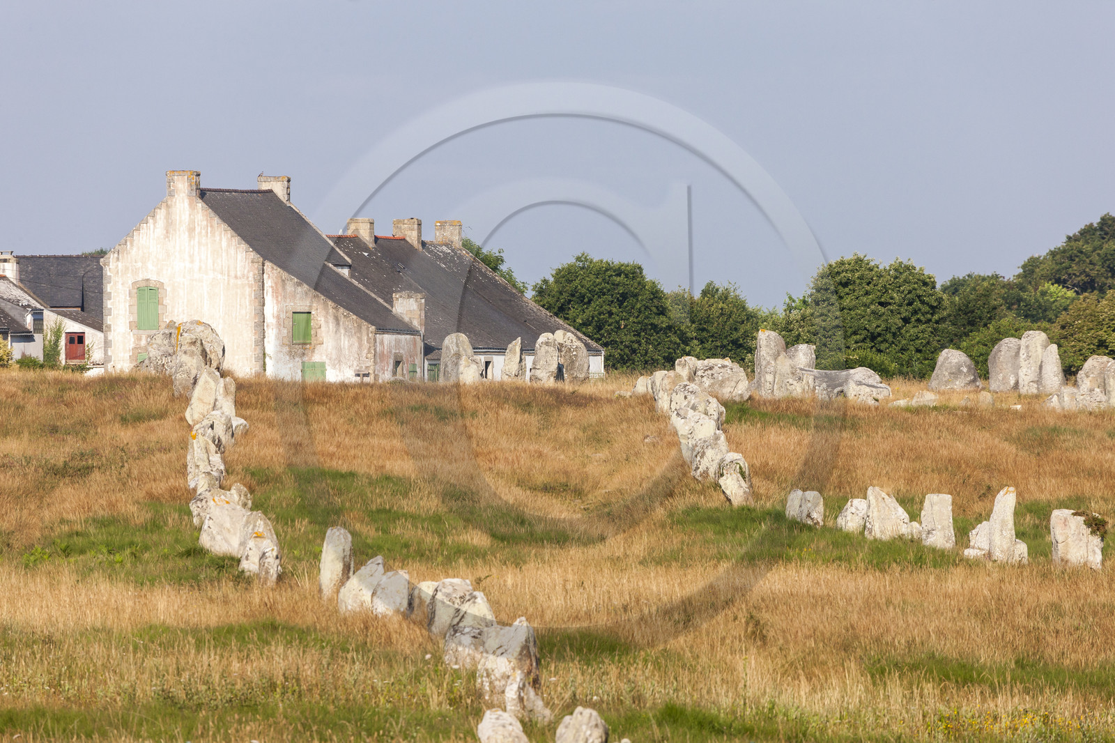 Alignements de Menhirs du Ménec à Carnac