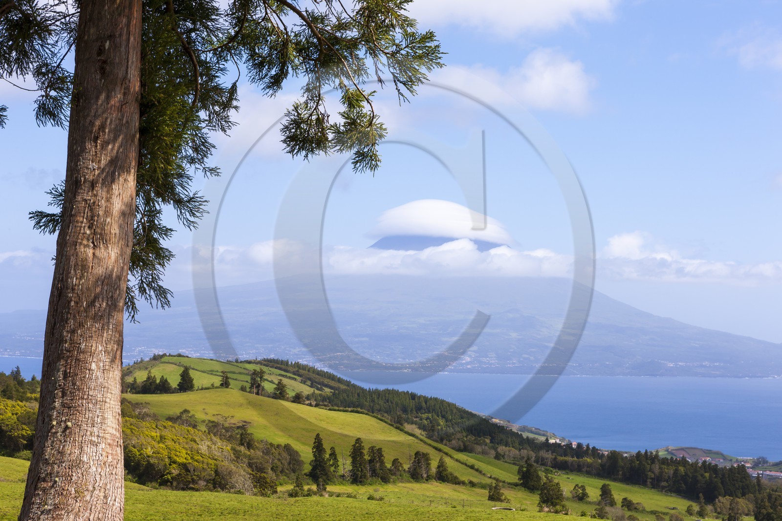 Île de Faial _ Archipel des Açores