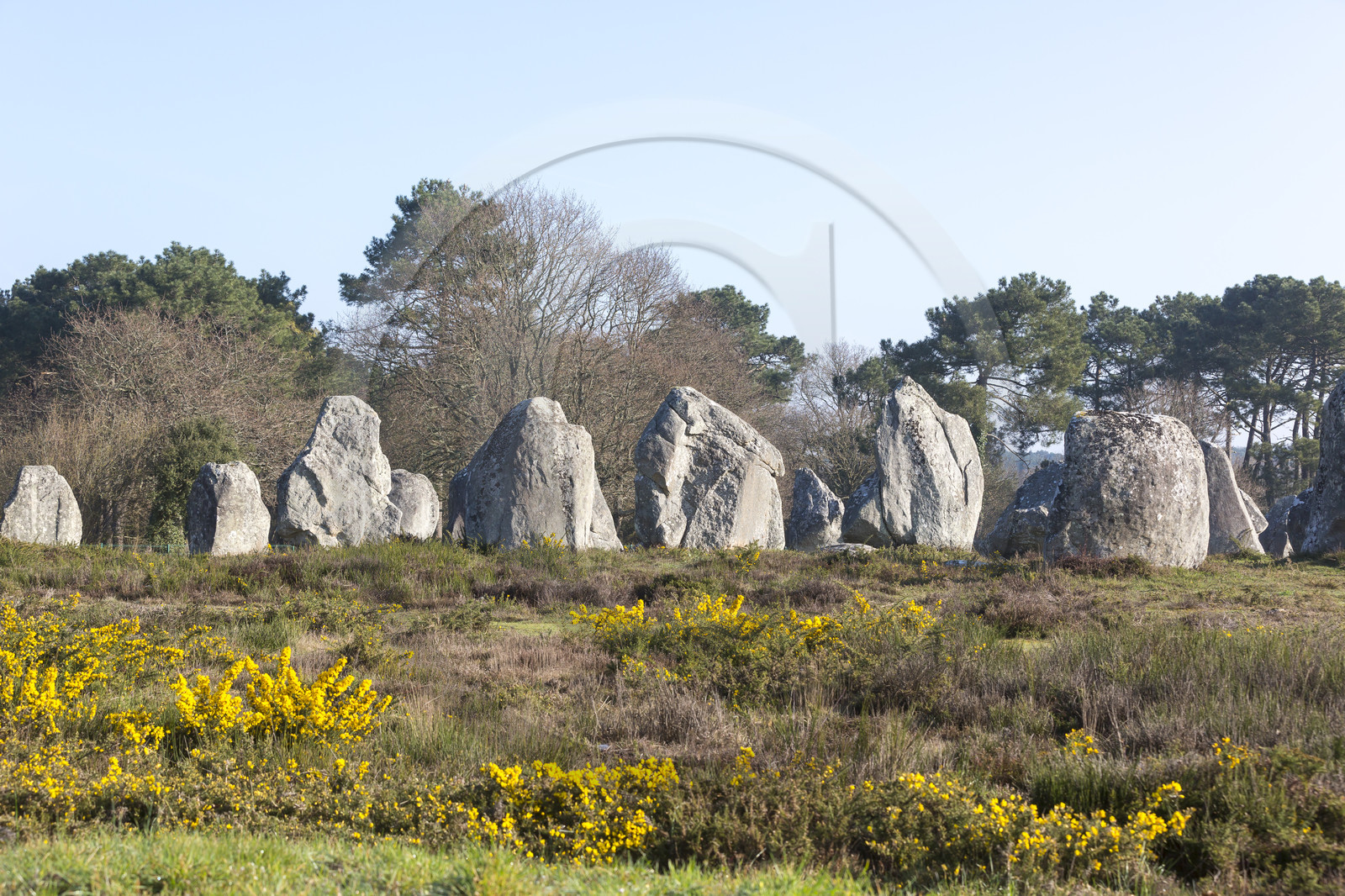 Alignements de Kermario _ Carnac
