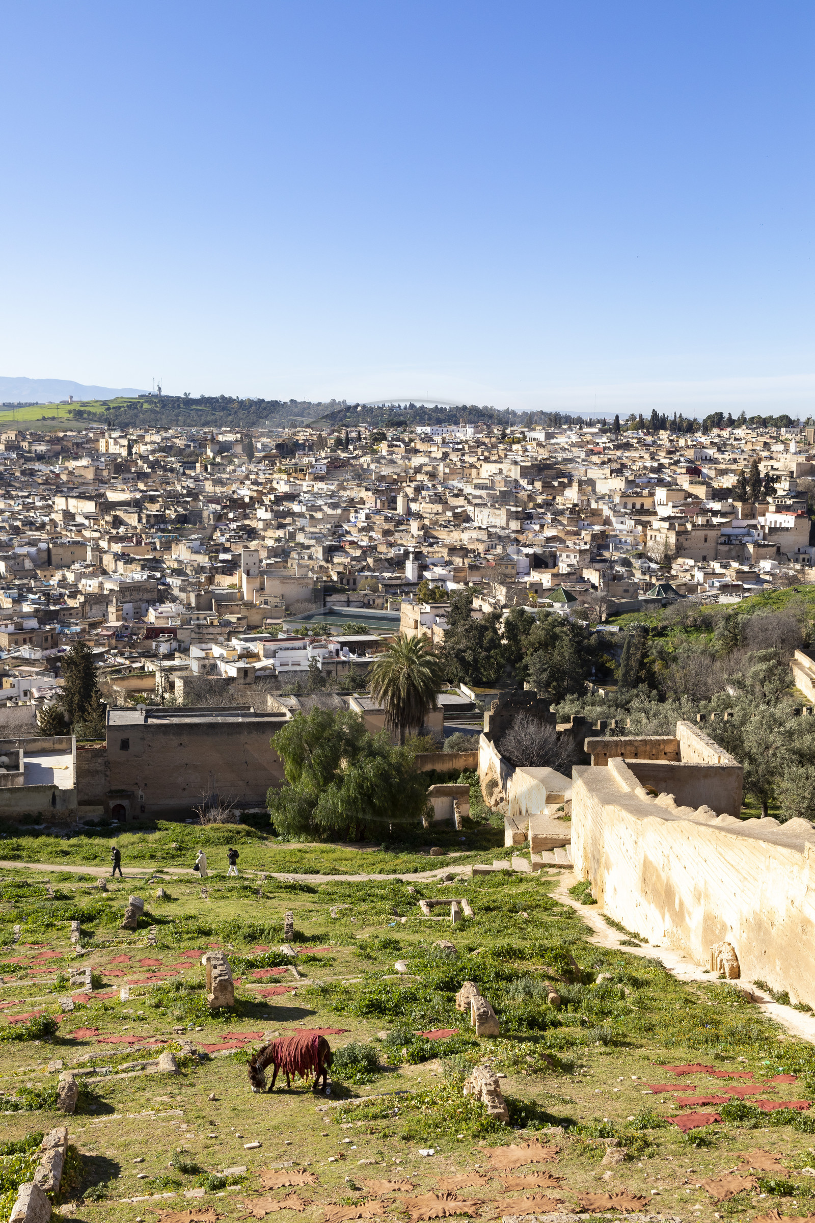 Vue sur la Médina de Fès au Maroc