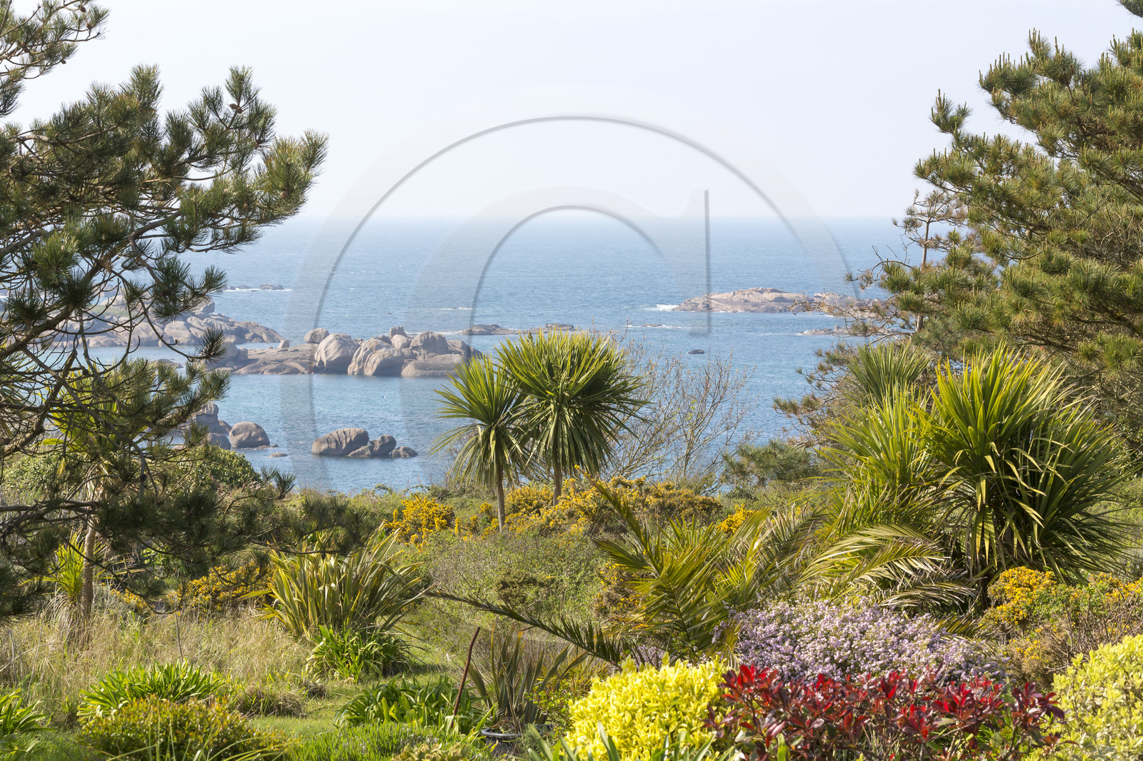 Panorama on the coast of Tregastel