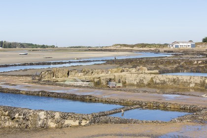 Park oyster in Plouharnel