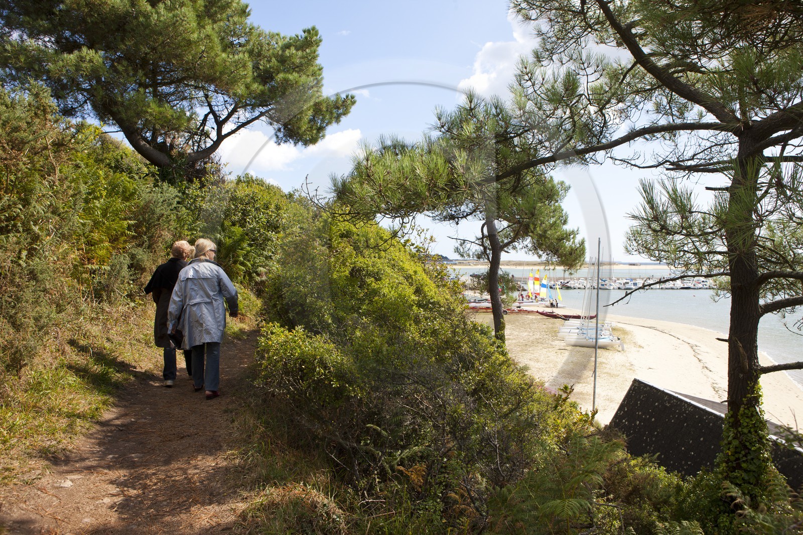Sentier pedestre en bordure de la Laita_Guidel