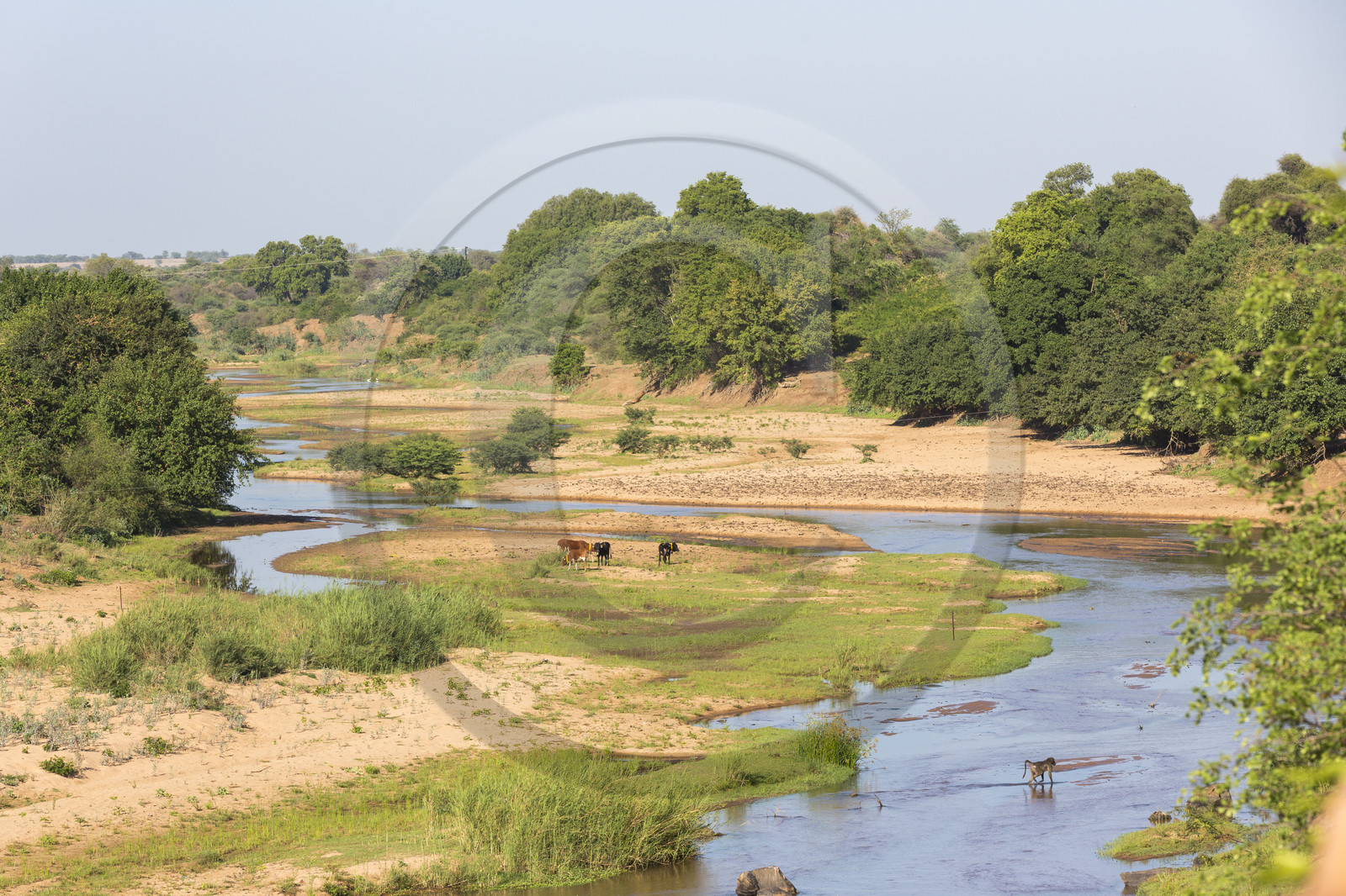 La rivière Letaba en bordure du parc Krüger_Afrique du Sud