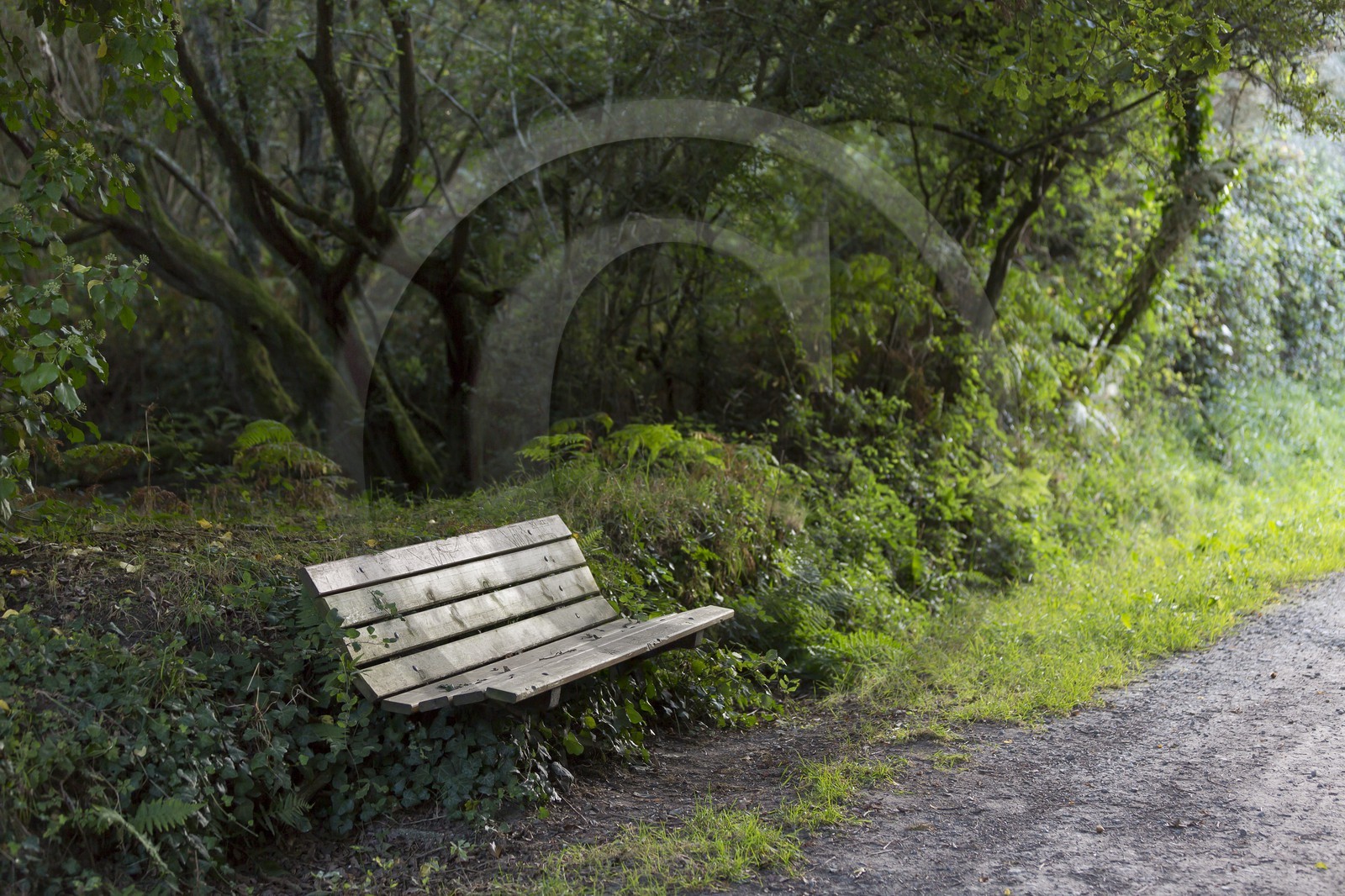 Banc