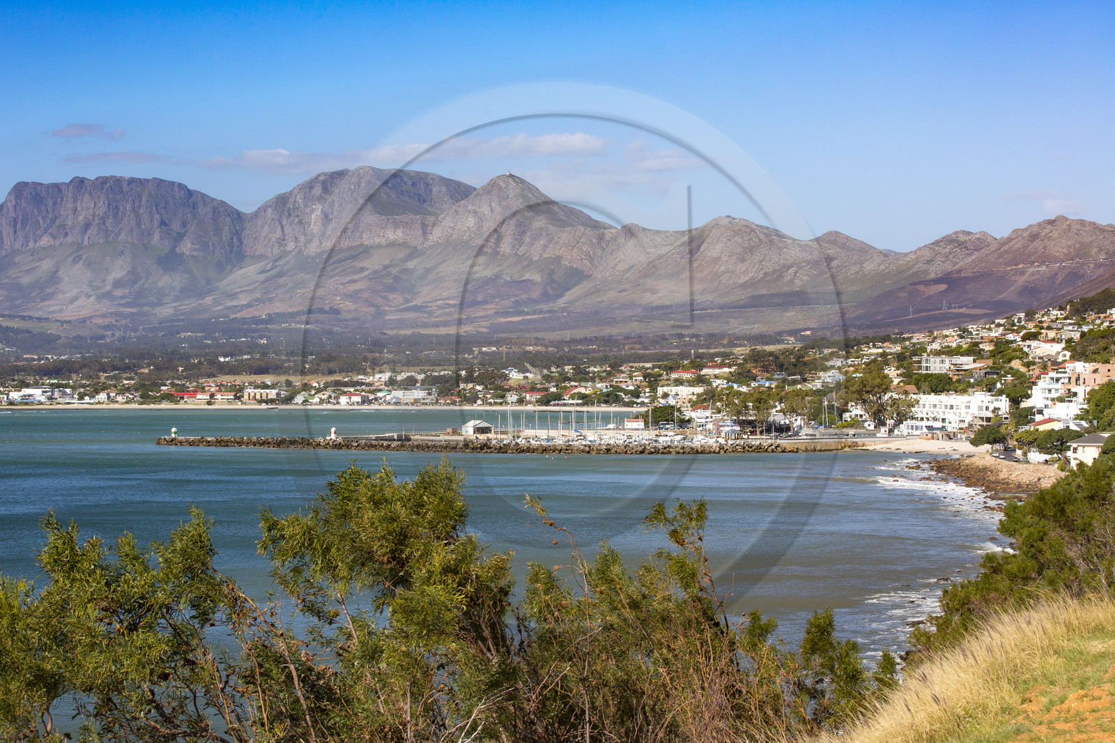 Gordon's bay _ Afrique du Sud
