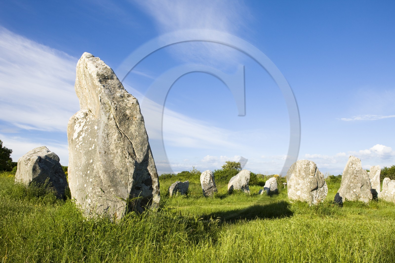 Alignement de Menhirs de Kerzerho_Erdeven_Morbihan_Bretagne_France