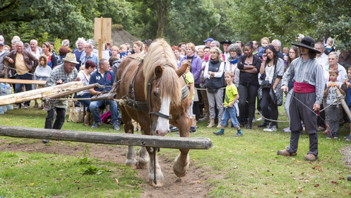 2016, Cider Festival in the village of Poul Fetan. Quistinic in the Morbihan