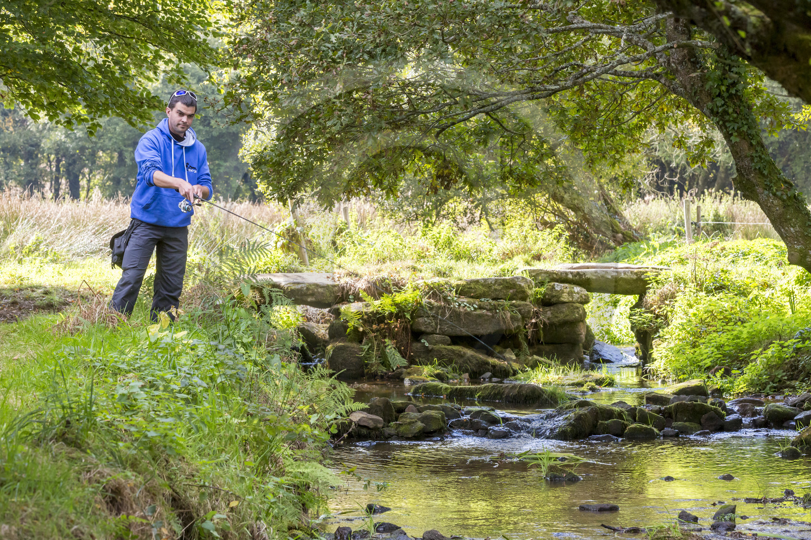 Ruisseau du Brandifout_Bubry