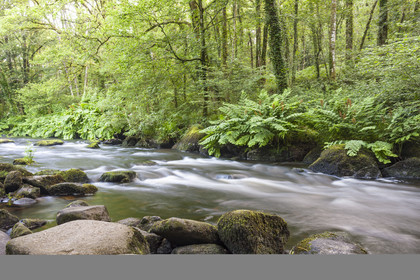 La rivière l'Ellée