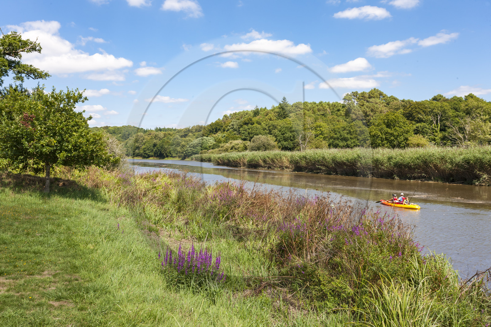 Kayak ride on the Scorff