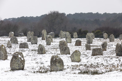20210211_Carnac_19A8026