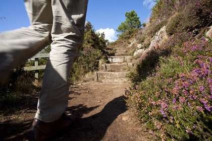 Sentier pedestre en bordure de la Laita_Guidel