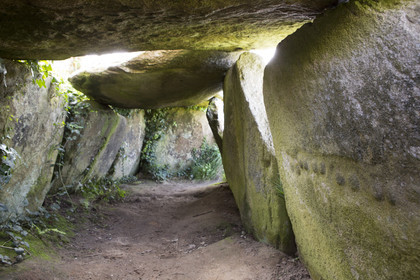 L'allée couverte de Kerguntuil à Trégastel.