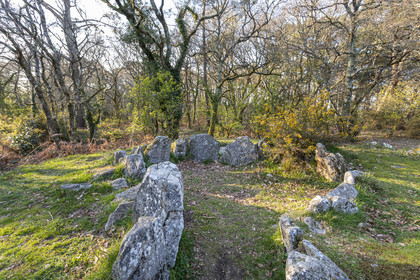 Le site mégalithiques de Mané Roulad à Ploemel