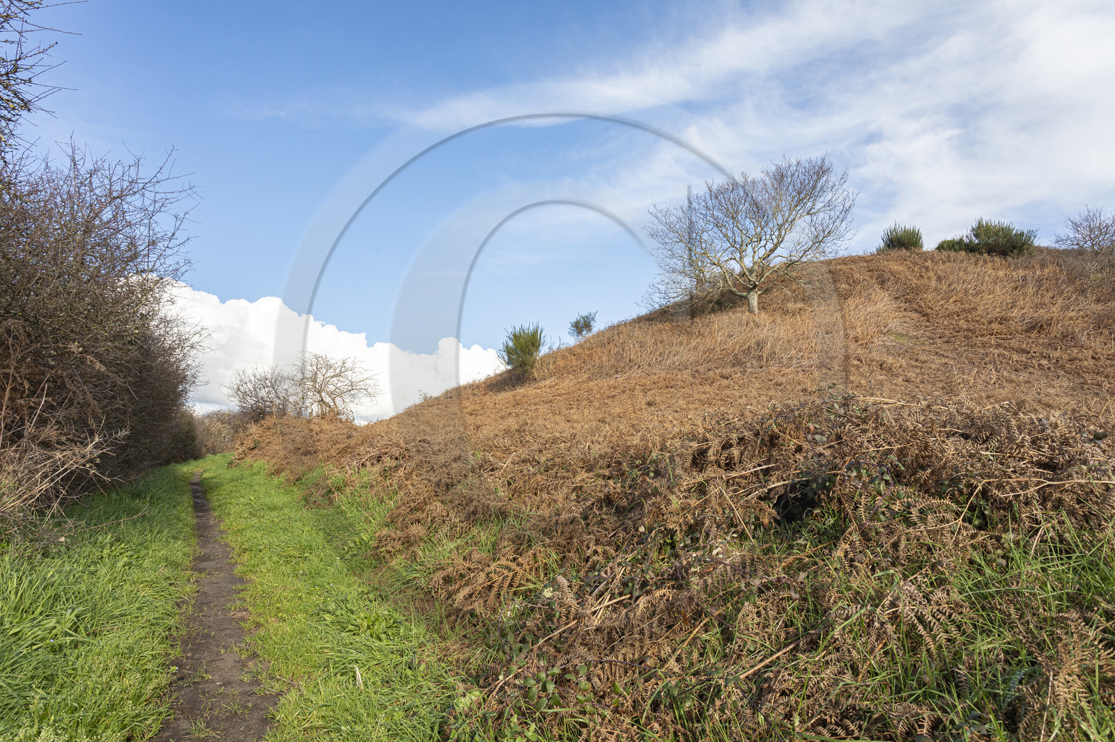 Tumulus de Tumiac à Arzon