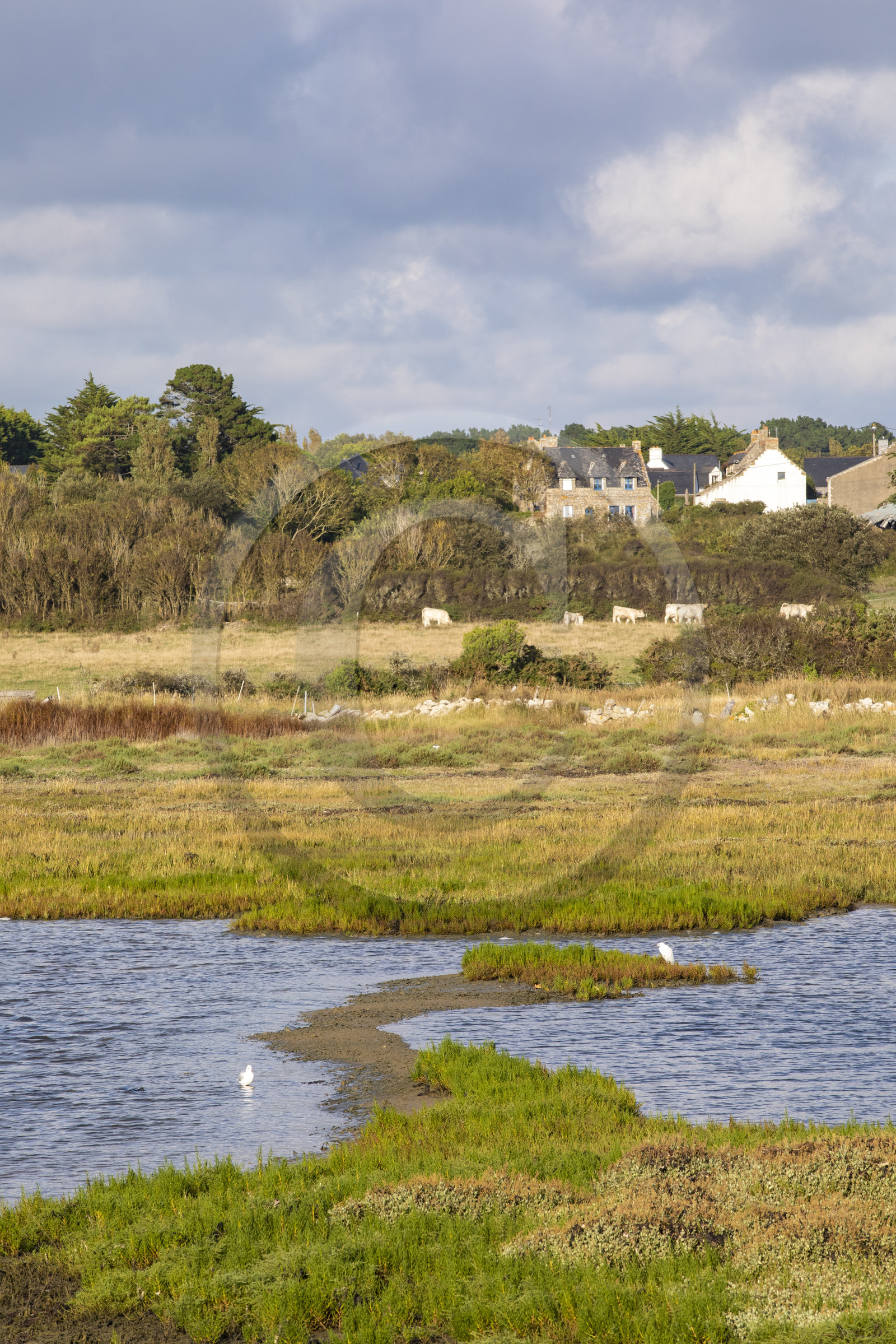 Etang du Moulin du Lac à Carnac