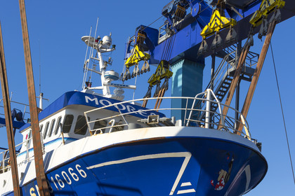 Keroman_Lorient