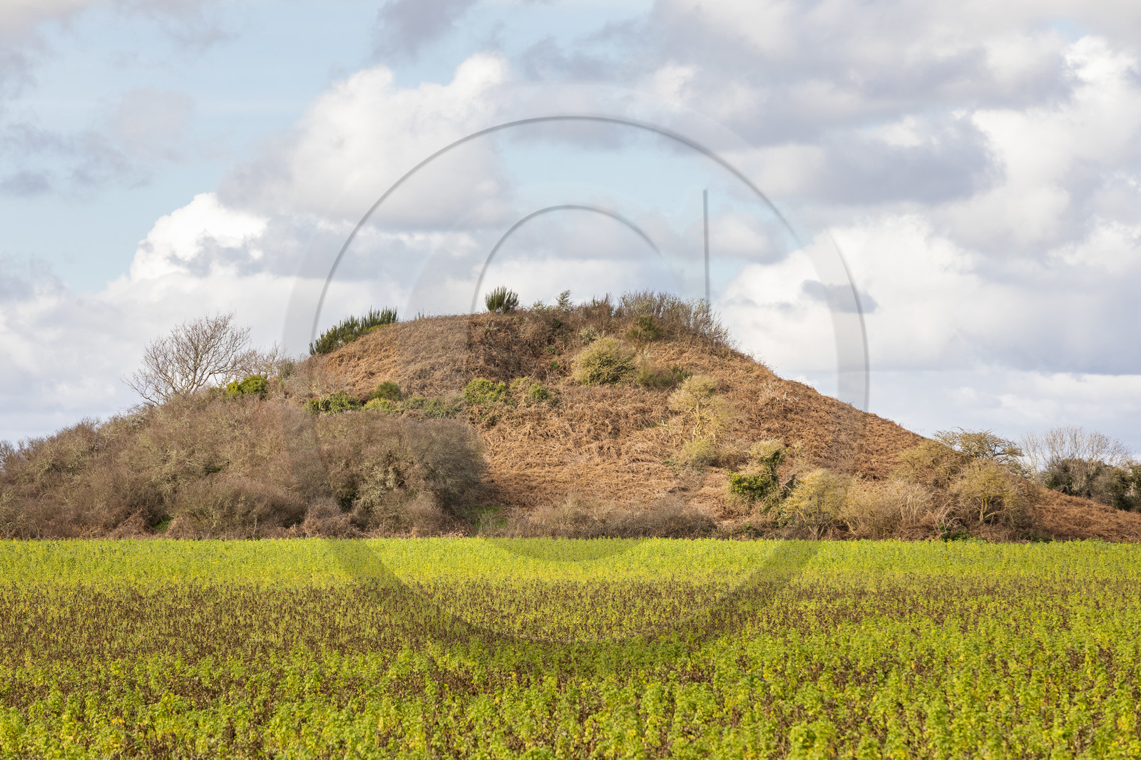 Tumulus of Tumiac in Arzon