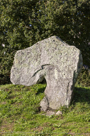 megalithic site Kergonan _ Ile aux moines