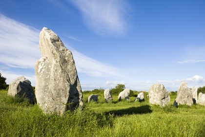Alignement de Menhirs de Kerzerho_Erdeven_Morbihan_Bretagne_France