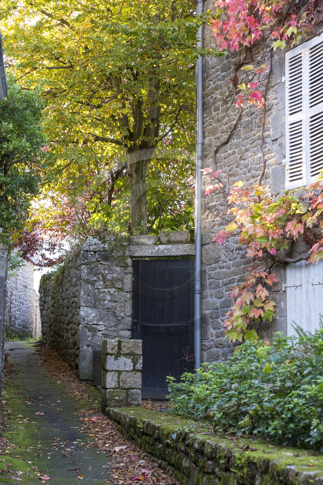 le bourg de la Trinite sur Mer