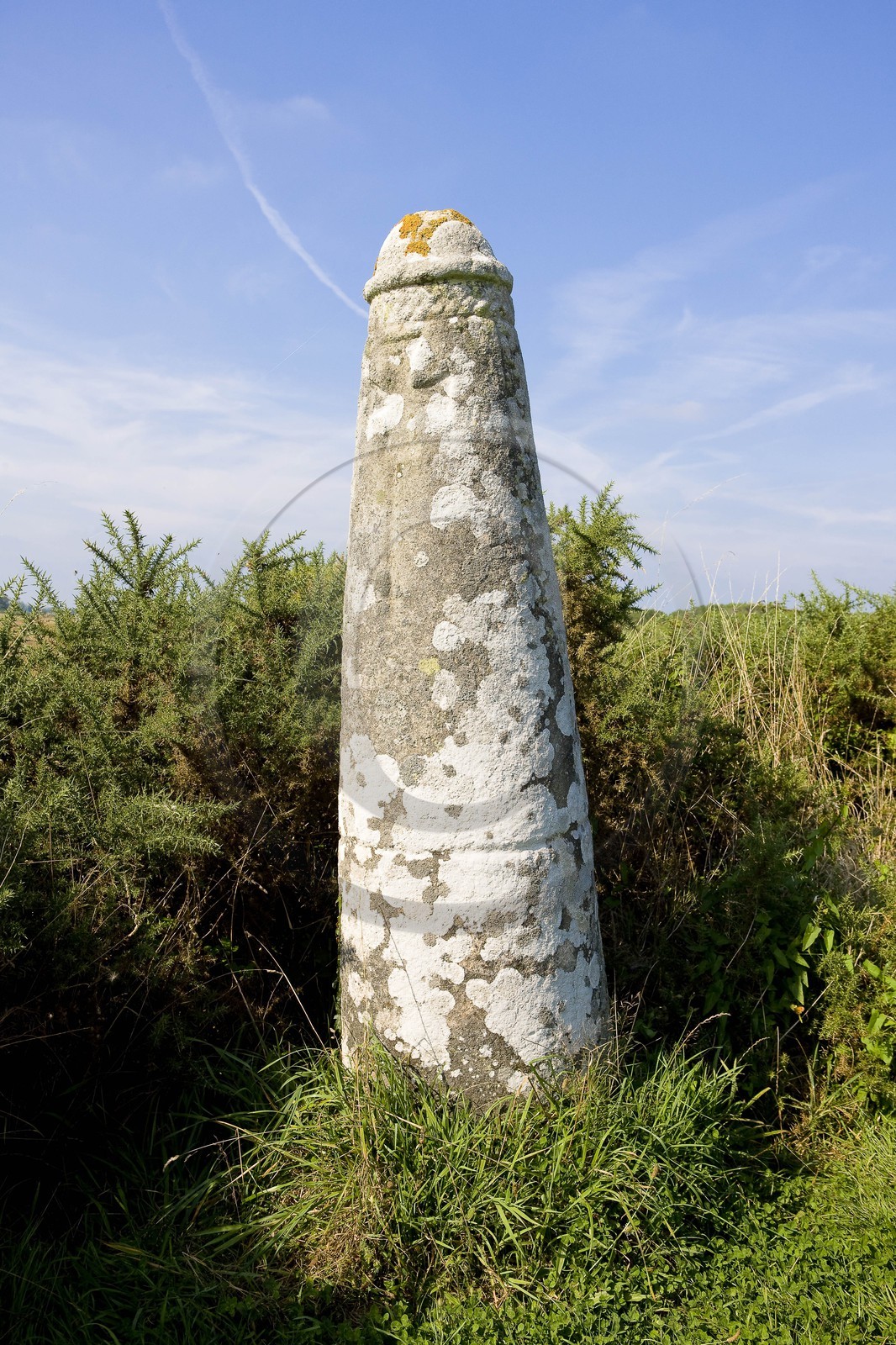Stèle de Prostlon _ Locoal-Mendon