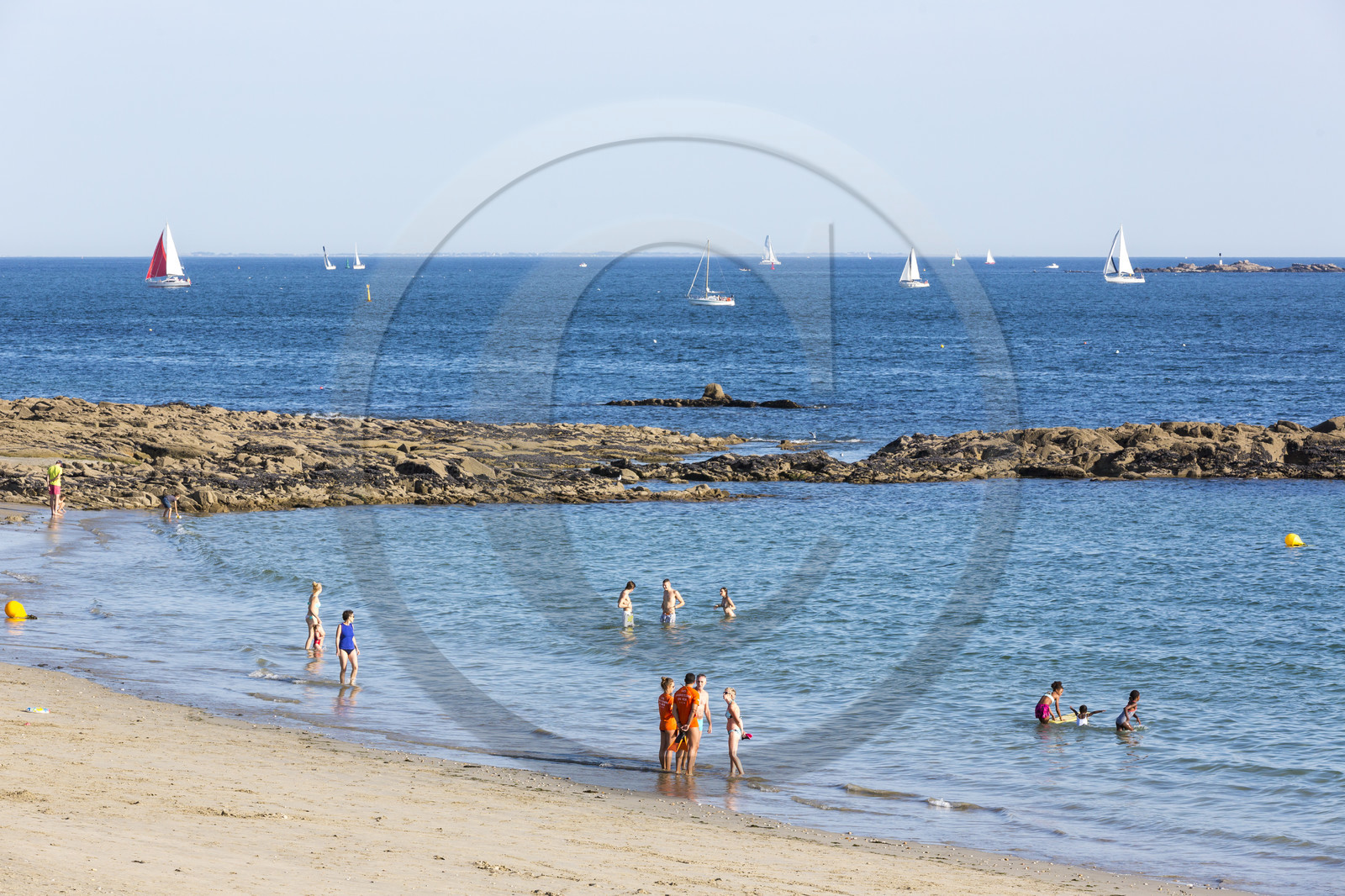 Plage de Kerguelen _ les roseaux à Larmor-Plage