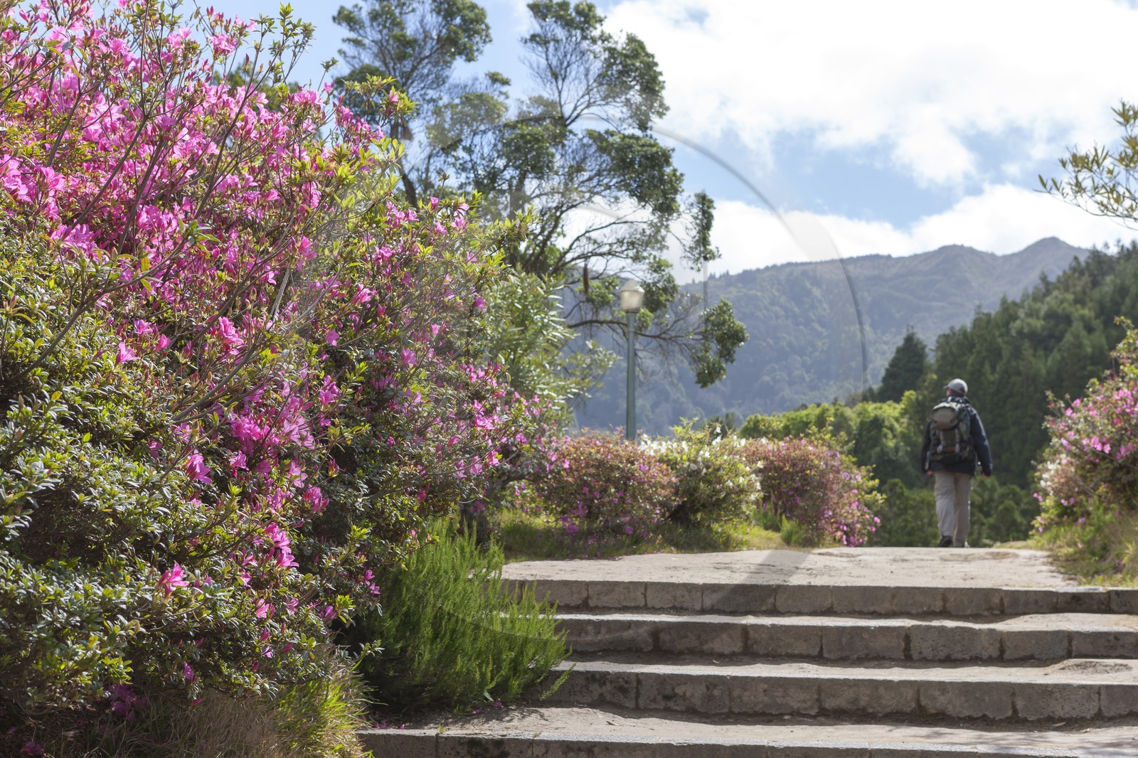 Jardin _ Furnas