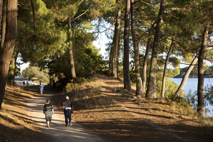 pond of the Ter in Ploemeur. Morbihan France