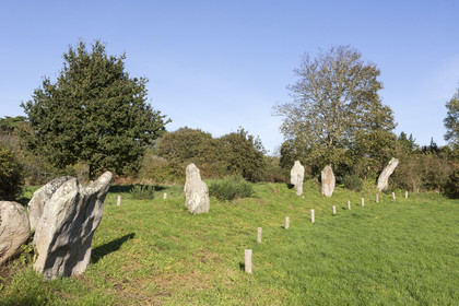 megalithic site Kergonan _ Ile aux moines