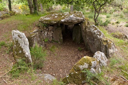 Le dolmen de Mane Bras _ la Trinite sur mer.